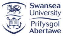 Swansea University